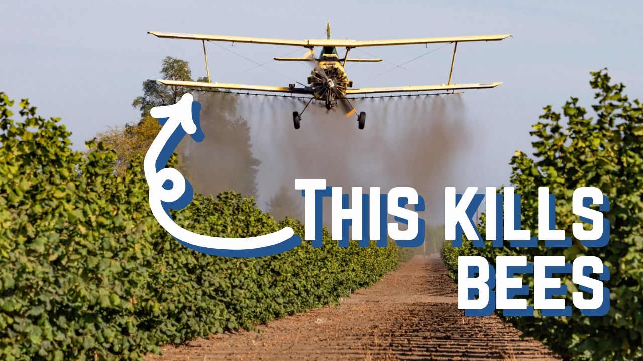 Pollinator Predators What’s Endangering Our Pollinators? – Videos – Mother Earth News